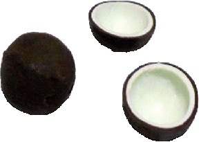 (image for) Coconut 1 Whole and 2 Halves