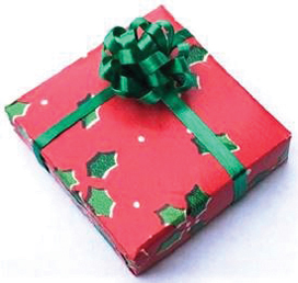 (image for) Holly Christmas Gift