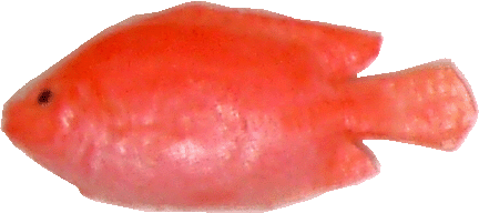 (image for) Fish - Red Snapper