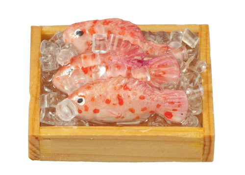 (image for) Fresh Fish on Ice Red