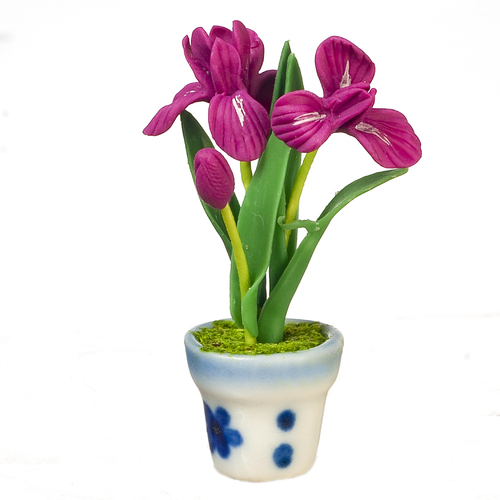 (image for) Iris in Pot Mauve