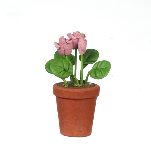 (image for) Rose in Pot - Pink