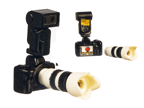 (image for) Camera w/ Zoom Lens & Flash