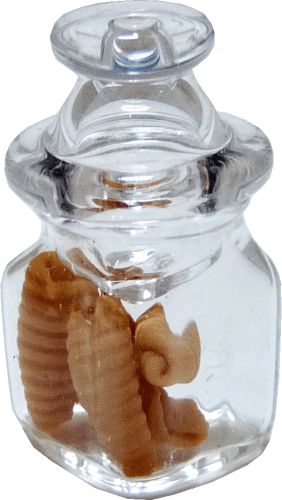 (image for) Rolled Waffle Cookies in Jar w/ Top