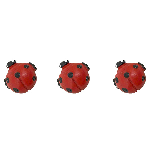 (image for) Ladybug 3pc