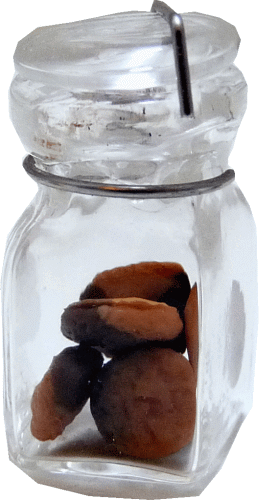 (image for) Chocolate Dipped Cookies in Clamp Jar