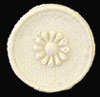 (image for) Sand Dollar Applique 4pc