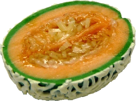 (image for) Half of Cantaloupe