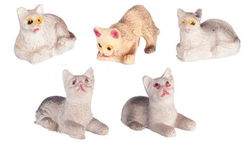 (image for) Assorted Miniature Cats