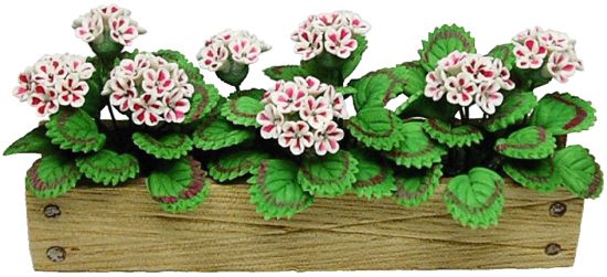 (image for) Pink/White Geraniums in Window Box