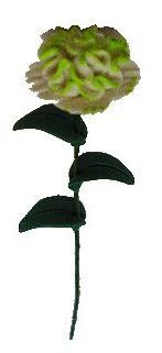 (image for) Single White & Green Frosted Carnation Flower Stem