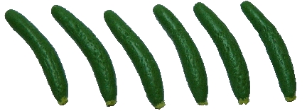 (image for) Zucchini 6pc