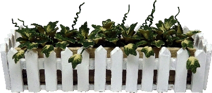 (image for) Ivy in Picket Fence