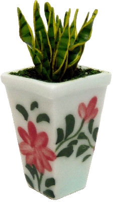 (image for) Aloe Vera in Square Painted Vase