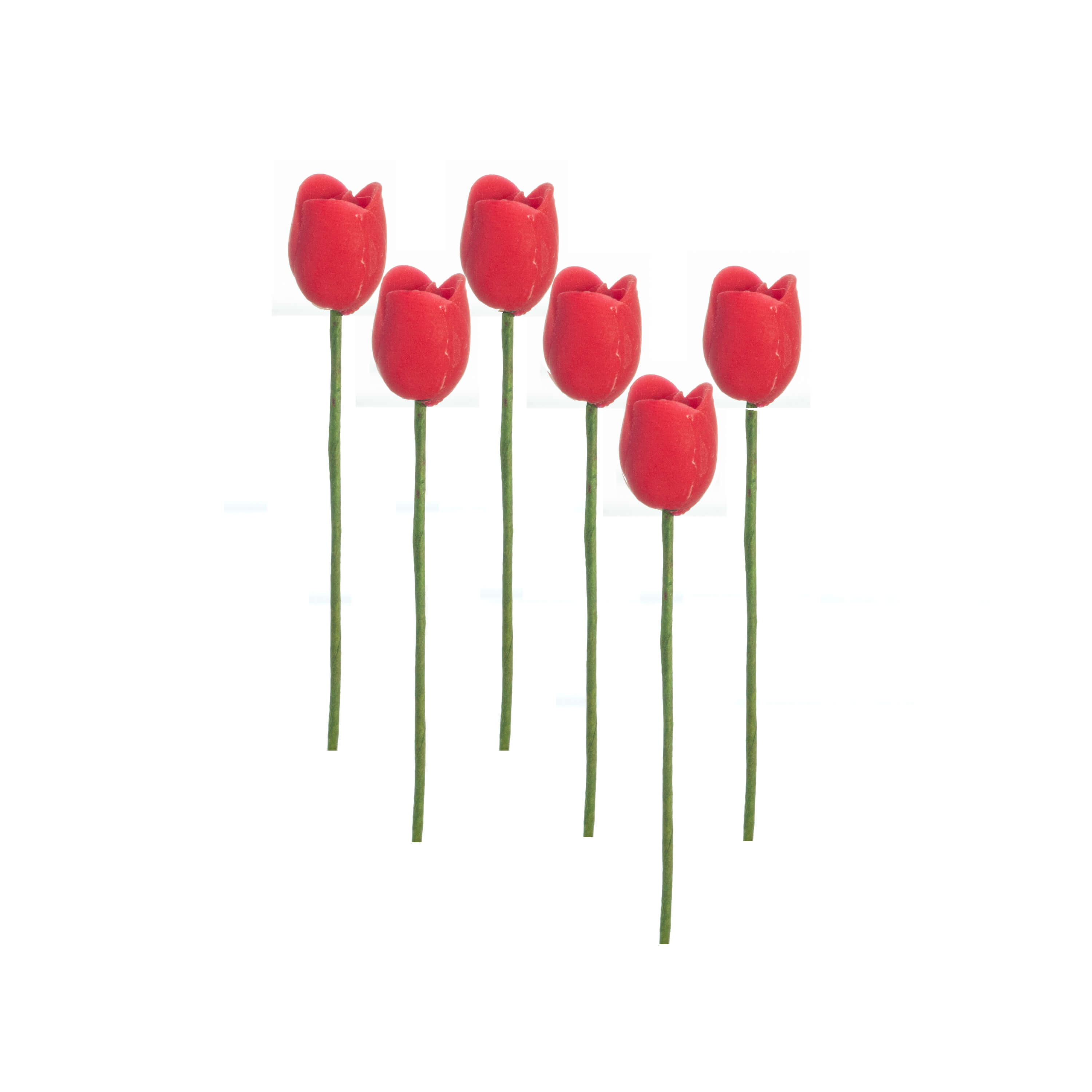 (image for) Red Tulip Stems 6pc