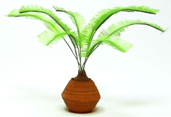 (image for) Sago Palm in Clay Pot