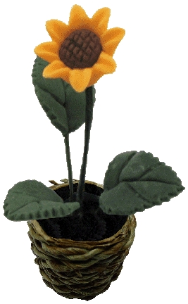 (image for) Sunflower in Basket Planter