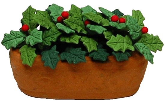 (image for) Holly in Clay Pot