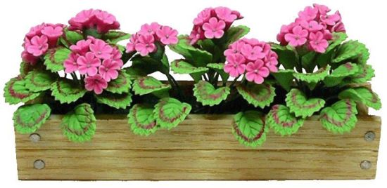 (image for) Pink Geraniums in Window Box