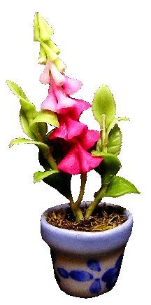 (image for) Pink Bell Flowers in Blue Pot