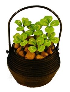 (image for) Four Leaf Clovers in Rustic Pot