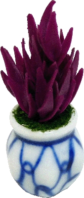 (image for) Amaranthus in Ceramic Pot