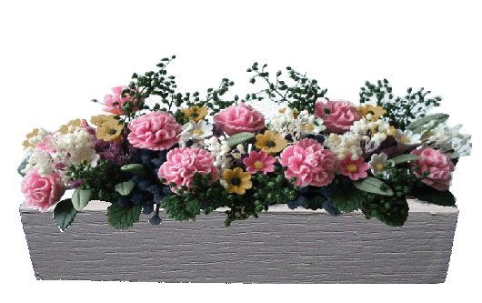 (image for) Pink Carnations in White Window Box