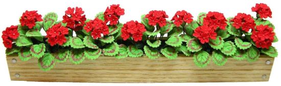 (image for) Red Geraniums Window Box