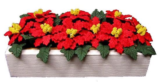 (image for) Poinsettias in White Window Box