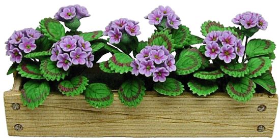 (image for) Lavender Geraniums in Window Box