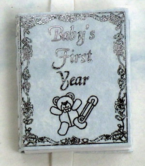 (image for) Babys First Year Book, Blue