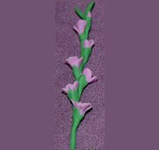 (image for) Glads Lavender 1 Stem