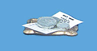 (image for) Tray w/ Receipt & Coins