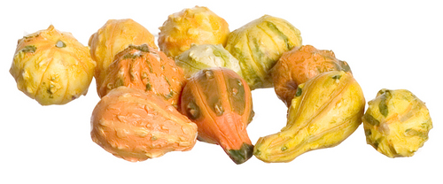 (image for) Assorted Gourds 11pc