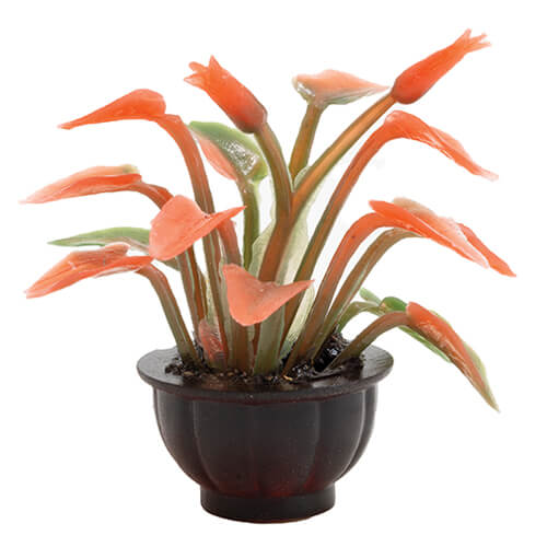 (image for) Potted Tropical Plant