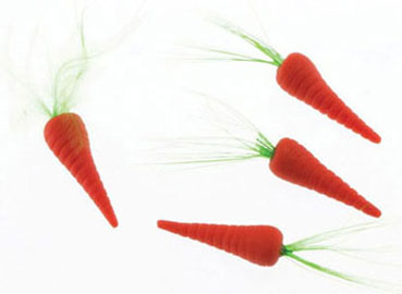 (image for) Carrots 4pc