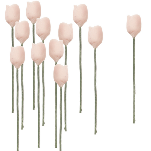 (image for) 1dz Light Pink Tulip Stems