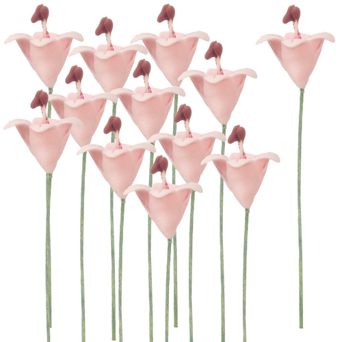 (image for) 1dz Pink Easter Lilly Stems