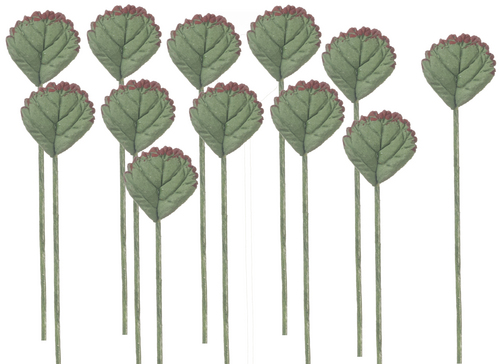 (image for) 1dz Brown Tipped Plant Leaf Stems