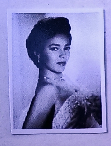 (image for) Dorothy Dandridge Dollhouse Photo 8 x10