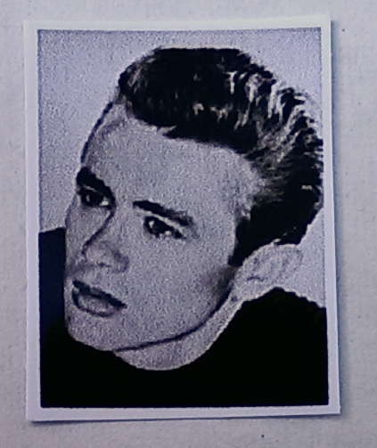 (image for) James Dean Dollhouse Photo 8 x10