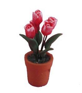 (image for) Frosted Tulips in a Clay Pot