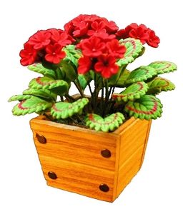 (image for) Red Geraniums in Square Planter Box