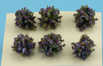 (image for) Border Plant Purple / Blue