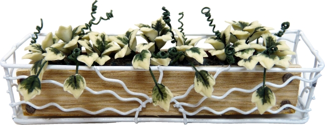 (image for) English Ivy in Sunrise Iron Box