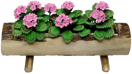 (image for) Pink Geraniums in Log Planter