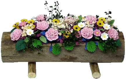 (image for) Pink Carnations in Log Planter