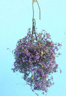 (image for) Hanging Plant - Purple - Blue - Large