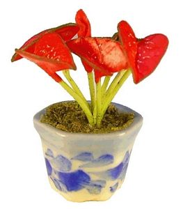 (image for) Red Anthurium in Decor Pot