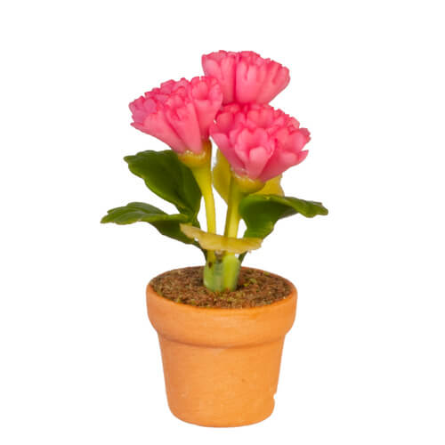 (image for) Potted Pink Carnations